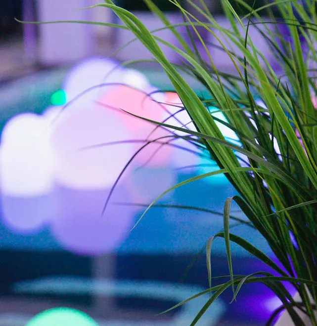 Atmospheric detail from a corporate event